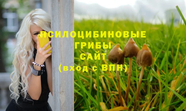 первитин Алексеевка